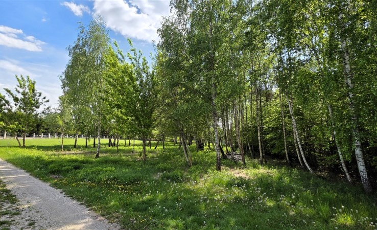 działka na sprzedaż - Konstancin-Jeziorna (gw), Kierszek, Marii Konopnickiej